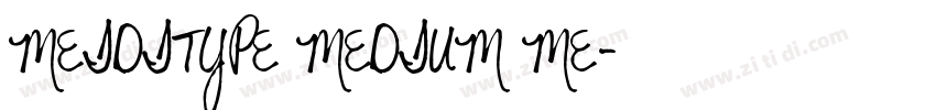 MEIDITYPE MEDIUM ME字体转换